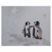Ve školce tučňáků